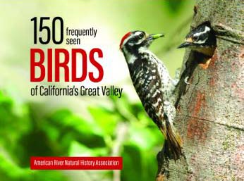 Book Cover of the 150 frequently seen birds of California's Great Valley