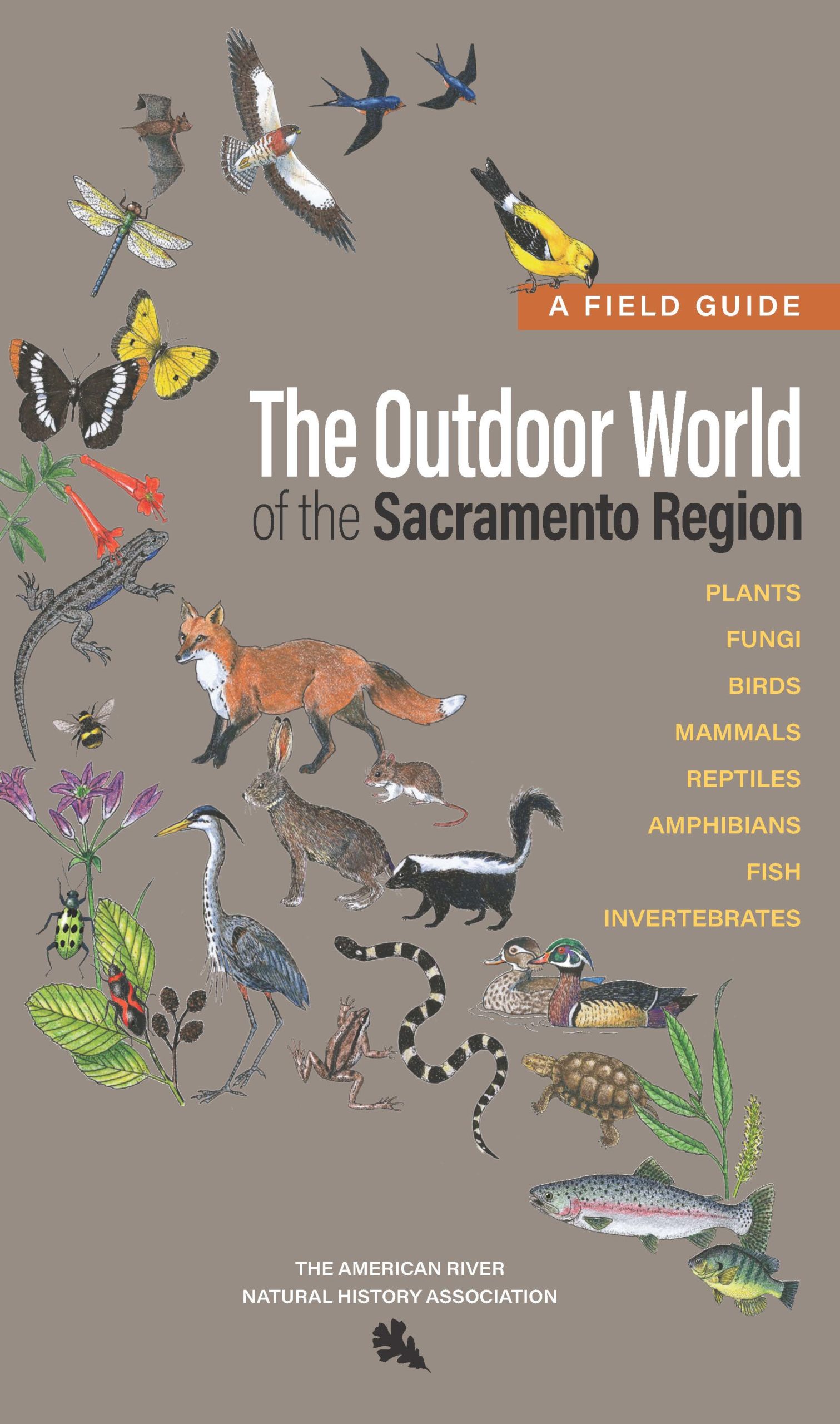 Book Cover of The Outdoor World of the Sacramento Region
