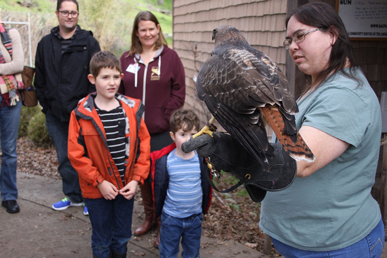 Kids Viewing Resident Animal (Hawk) held by staff