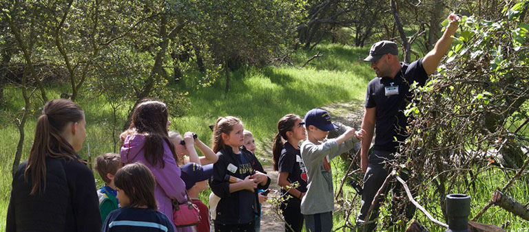 Tour Leading showing plants in the nature preserve to kids