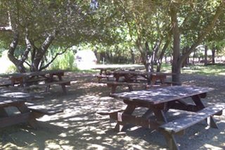 Picnic Tables and Play Area in front of the Visitor Center