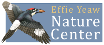Logo of Effie Yeaw Nature Center