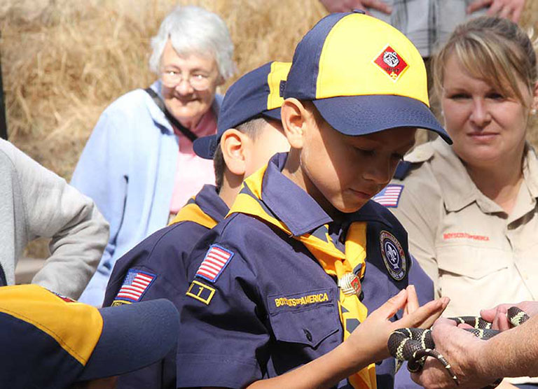 Scout Petting Snake
