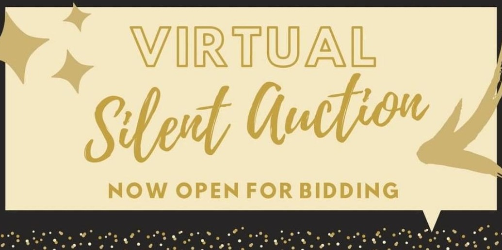 Virtual Silent Auction: Now open for bidding